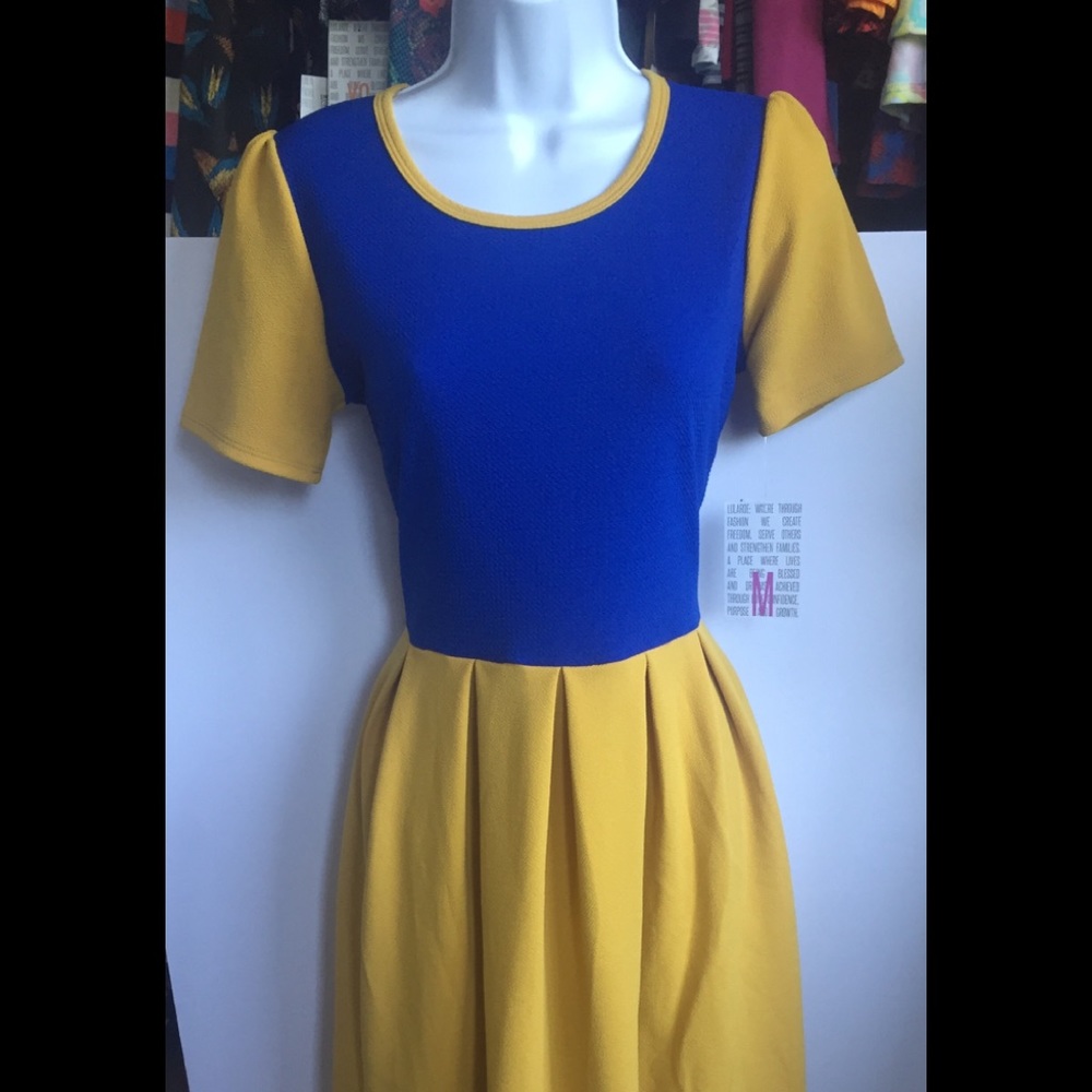 LuLaRoe Amelia dress with pockets